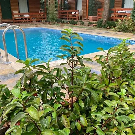 Ξενοδοχείο Tatil Keyfi Κοτζαελί