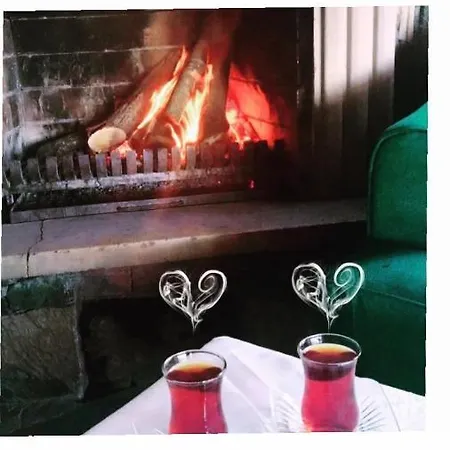 Tatil Keyfi Κοτζαελί